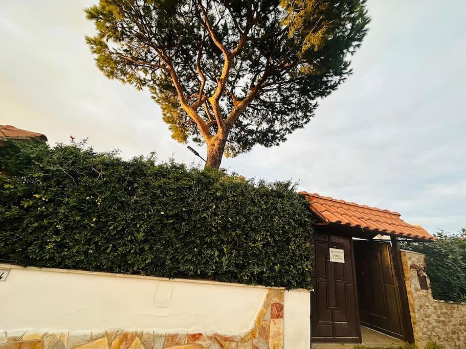 Fontana House Villa Marina di Cerveteri Kültér fotó